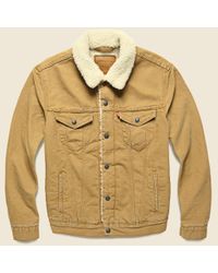 Levi's Premium Cotton Type Iii Sherpa Trucker Jacket - Desert Boots in  Natural for Men | Lyst