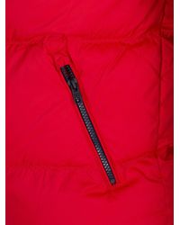 tommy hilfiger samba jacket