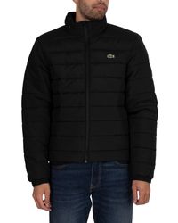 lacoste bubble coat