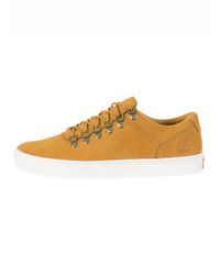 timberland adventure 2.0 cupsole alpine oxford sneakers basses homme timberland adventure 2.0 cupsole alpine oxford sneakers basses homme