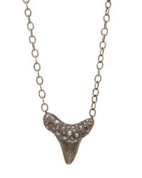 Loree Rodkin - Metallic Shark Tooth Pendant Necklace - Lyst