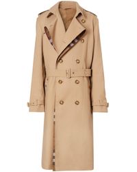 burberry man coat