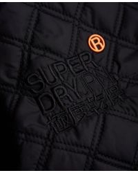 superdry apex