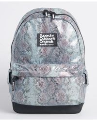 superdry backpack ladies