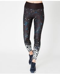 opaque tights denier