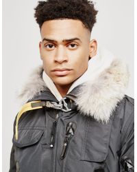 parajumpers gobi padded bomber jacket