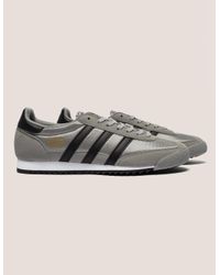 adidas dragon marrone