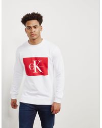 white calvin klein jumper mens
