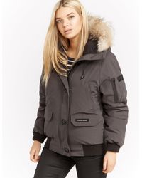 Canada Goose Goose Womens Chilliwack Padded Bomber Jacket Grey in Gray -  Lyst