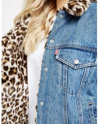 levi's leopard print trucker jacket