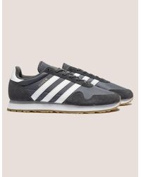 adidas haven gray
