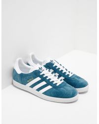 teal gazelles