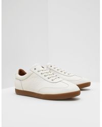 ralph lauren cadoc trainers