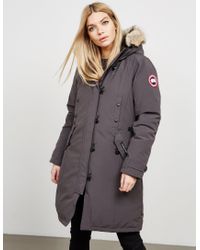 gray goose coat