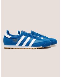 adidas dragon blue