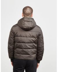 armani eagle padded jacket
