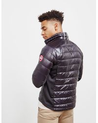bubble canada goose