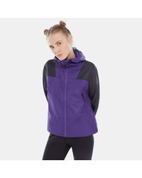 the north face mountain light windshell jacket