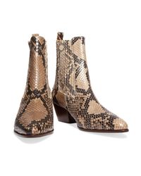 sandro snake boots