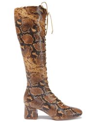 zimmermann snakeskin boots