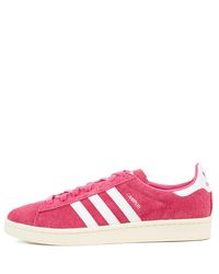 Adidas Pink Campus Sneaker for men