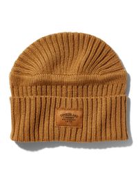 cappelli timberland uomo prezzi