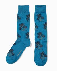 tommy bahama socks
