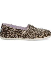 toms baby cheetah women's classics