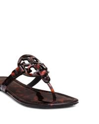 tortoise miller sandal