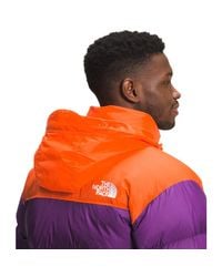 Purple and orange on sale north face jacket