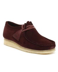 maroon clarks wallabees