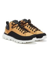 timberland sneaker low