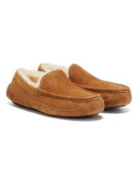 uggs mens slippers sale