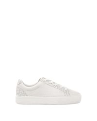 zilo snow leopard trainer