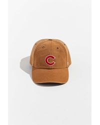 cubs carhartt hat