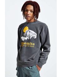 minnie and daisy sweatshirt