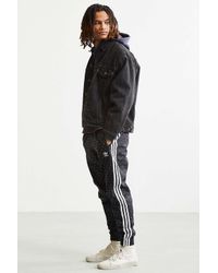 adidas Originals Synthetic X Pharrell Williams Carrot Fit Track Pant in  Black for Men - Lyst