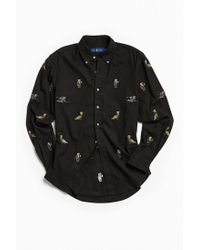 ralph lauren bear button down
