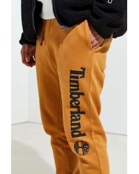 timberland jogging suit