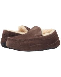 ascot suede slipper ugg