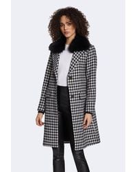 Dawn levy shop milly