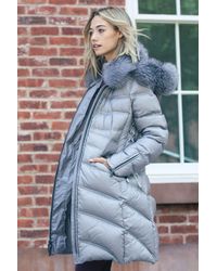 Dawn Levy Coats for Women | Online Sale up to 66% off | Lyst