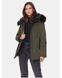 Dawn levy clearance luna coat