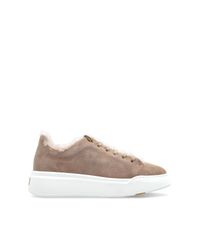 Max Mara Brown Suede Sports Shoes 'Tmaxi'