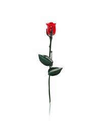 Moschino Red Brooch With Floral Motif