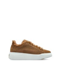 Max Mara Brown Tmaxi Sports Shoes