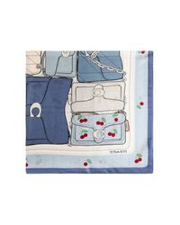 COACH Blue Silk Scarf