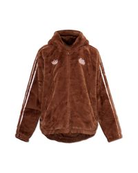 Adidas Originals Brown Adidas X Care Bears for men