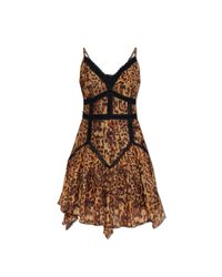 AllSaints Brown Dress 'Zia'