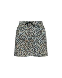 AllSaints Gray 'Silesia' Swim Shorts for men